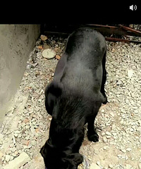 ̨�ݱ��ش���ת����������