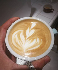 û�б���ı���