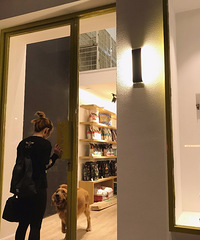 �������� �� ��ʽӪҵ �� ����