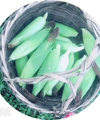 ����Ӫ�����