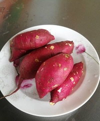 ����Ӫ�����