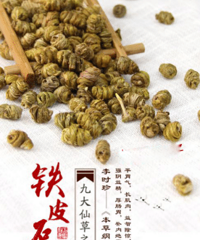 "千岛牌铁皮石斛:秋季出游的注意事项"