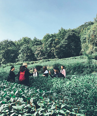 手作民宿的团建之旅
