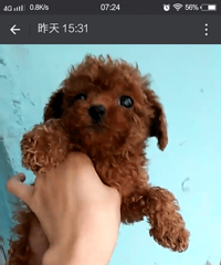 �������۾�̩�ϱ���  �ְֲ豭����΢С