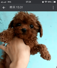 �������۾�̩�ϱ���  �ְֲ豭����΢С