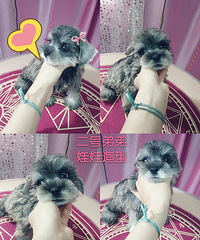 ѩ���������ͱ���