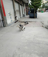 ��������ʧ