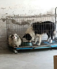 ��������ʧ