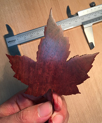 木片枫叶