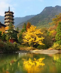 秋之韵,来天目山感受不一样的美