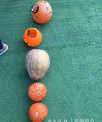 ��ʥ���׶�԰�ô��Ϲϣ���һ�����ӱ����