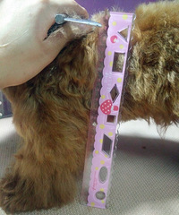 �豭̩��1800ת�� һ�������Ѷ�