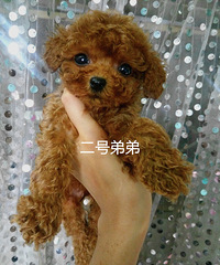 ���۾�̩�ϱ��� �ְֲ豭����΢С 1800