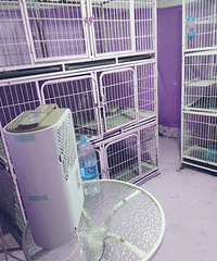 ������� С��Ȯ30 ����Ȯ40 ����Ȯ60