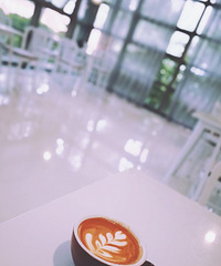 �ײ��延�ޱ���