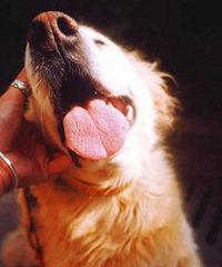 �ײ��延�ޱ���