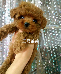 ���۾�̩�ϱ��� �ְֲ豭����΢С 1800