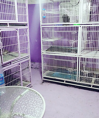 ������� С��Ȯ30 ����Ȯ40 ����Ȯ60