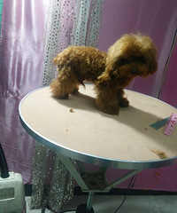 �豭̩��1800ת�� һ�������Ѷ�