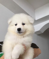 ��Ħ����һĸ