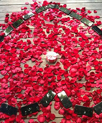 ·�߾���25̨iPhone X ���ѣ�����һ�ѵľ޿�