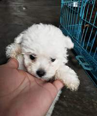 ̨�ݱ��ؼ�������