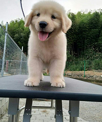 ����Ȯ��ӳ������ѵ��