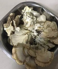"杭州路边大树上长出6斤多“蘑菇”!网友为它吵翻天,保安大叔直