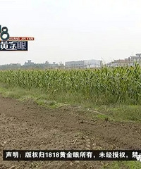"萧山独居男子深夜进玉米地……骑车50公里"