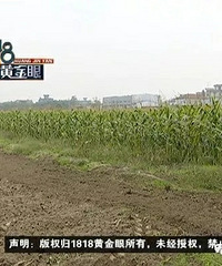 "萧山独居男子深夜进玉米地……骑车50公里"