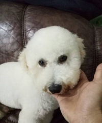 ���������ܣ���������������������ҳ���220Ԫ�������ۡ�