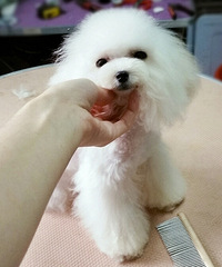 �������;���80Ԫ