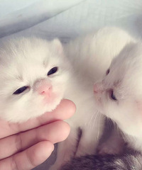 ���۴����۶��ܵܣ� �߸�����DD. ����