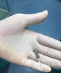 ʹ�ģ�1��5���´󱦱��ڼ�ͻȻ����������Ч