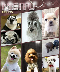 �н�С��Ȯ��������۸�ʵ��