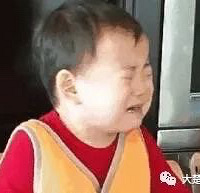 "为了读个好幼儿园,父母给2岁半男童报了5"