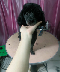 ̩������������� --����С�������С��