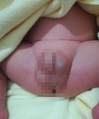 ��Ұ��ҿ�����лл