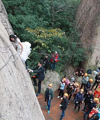 һ���»�򸾾��������Ļ�ɴ����Χ��