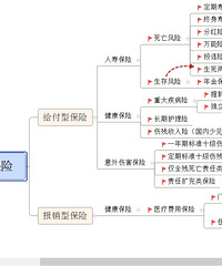 保险种类