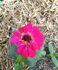 ?�������������߶Ե����ջ�ͣ��