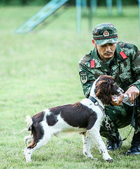 "《奇兵神犬》杨烁暖男属性 训犬高度散光闹乌龙"