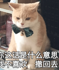 可爱猫咪表情包 斗图专用