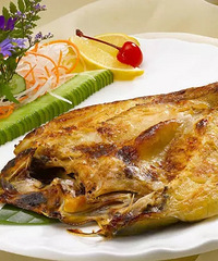 "分享一下8款美食菜谱鱼的做法"
