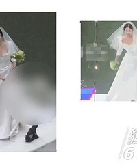 ־�������۸��ϣ��������������ã���ʫʫ��ԲԲ�Ķ���˭�ˣ�