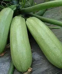 "洗菜时加点这个,脏东西自动跑出来,太省心"
