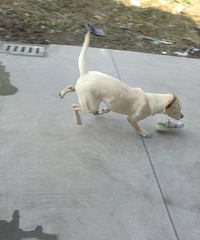 ����װ�ޣ�7�������������̰�ɫ��������