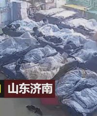 ��ͯ��Ը˯�� ������ʦ�ñ���ǿ�С��桱ס��