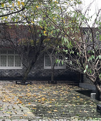 СԺ����