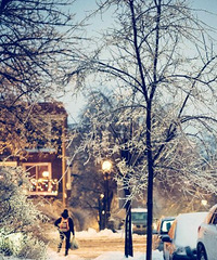 ����������